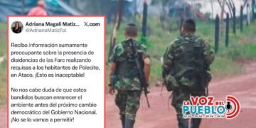 “¡No se lo vamos a permitir!”: Gobernadora exige ofensiva tras retenes de disidencias en Ataco