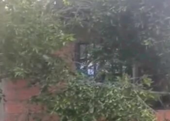Gestión del Riesgo entregó kit de ayuda a familias afectadas por caída de árbol en el barrio Baltazar