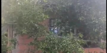 Gestión del Riesgo entregó kit de ayuda a familias afectadas por caída de árbol en el barrio Baltazar