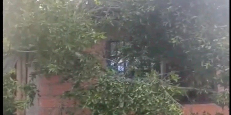 Gestión del Riesgo entregó kit de ayuda a familias afectadas por caída de árbol en el barrio Baltazar