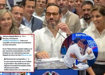 “Nos hemos sentido acompañados”: gobernadora destaca respaldo del presidente De la Espriella en medio de la emergencia en el Tolima