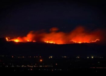Líder de Gualanday destaca respuesta de la comunidad durante incendio en el sector
