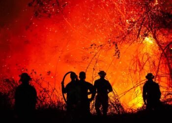 Nuevo balance: 22 incendios forestales activos en 14 municipios del Tolima