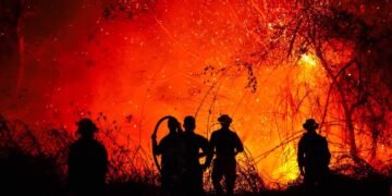 Nuevo balance: 22 incendios forestales activos en 14 municipios del Tolima