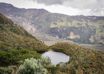 Cortolima conmemora Semana Mundial del Agua con obras, agenda académica y educación ambiental