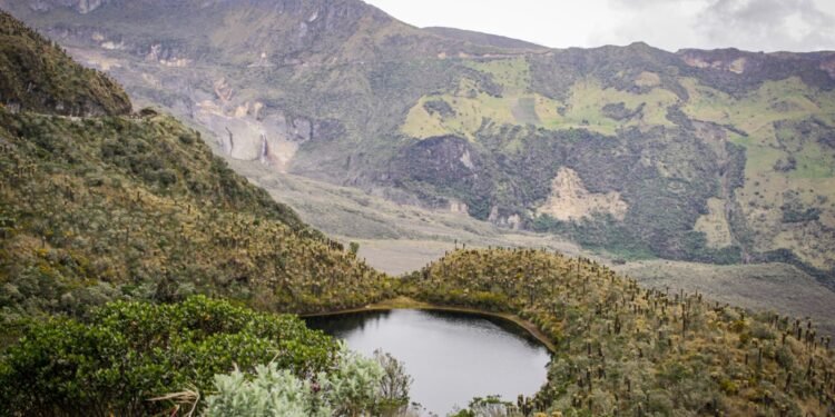 Cortolima conmemora Semana Mundial del Agua con obras, agenda académica y educación ambiental