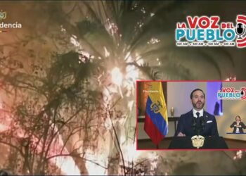 Presidente De La Espriella ratificó que manos criminales están tras los incendios en el Tolima