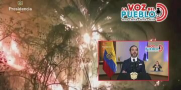 Presidente De La Espriella ratificó que manos criminales están tras los incendios en el Tolima