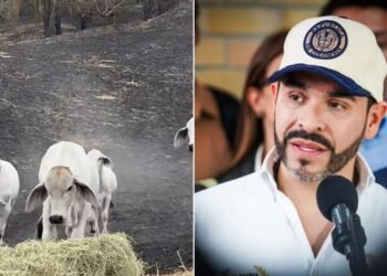 Abelardo De La Espriella anuncia más de $9.000 millones para reactivar el campo del Tolima tras los incendios