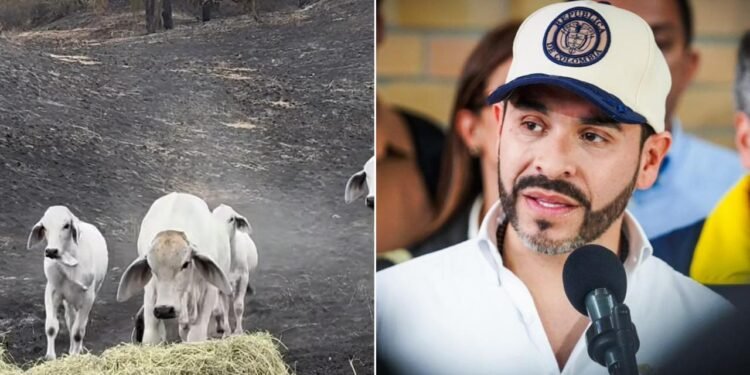 Abelardo De La Espriella anuncia más de $9.000 millones para reactivar el campo del Tolima tras los incendios