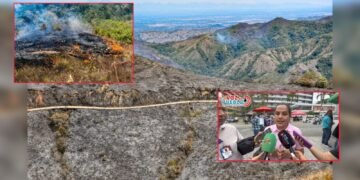 Tolima ya tendría más de la mitad de las hectáreas devastadas que dejó el Niño de 2015-2016