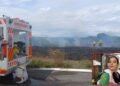 Si ve fuego o una columna de humo, no espere: reporte al 313 293 4649