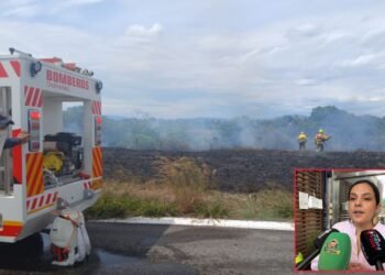 Si ve fuego o una columna de humo, no espere: reporte al 313 293 4649