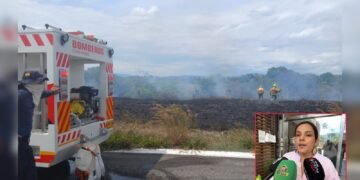 Si ve fuego o una columna de humo, no espere: reporte al 313 293 4649
