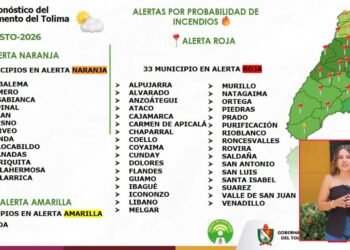 Tolima suma 100 incendios forestales, cuatro focos activos y alerta por desabastecimiento de agua