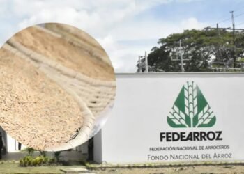 “Ha sido un año de retos”: Fedearroz alerta por sequía e incendios que golpean al sector arrocero