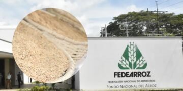 “Ha sido un año de retos”: Fedearroz alerta por sequía e incendios que golpean al sector arrocero