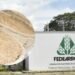 “Ha sido un año de retos”: Fedearroz alerta por sequía e incendios que golpean al sector arrocero