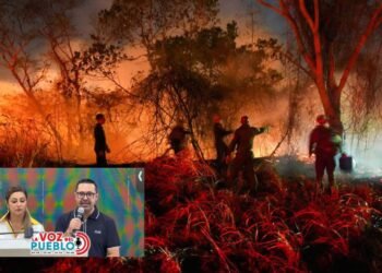 Ortega, al borde del colapso: incendios destruyen 15.000 hectáreas y dejan 34.000 reses en riesgo