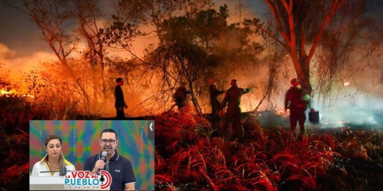 Ortega, al borde del colapso: incendios destruyen 15.000 hectáreas y dejan 34.000 reses en riesgo