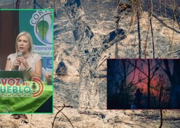 66 incendios forestales ya dejan 1.969 hectáreas afectadas en el Tolima