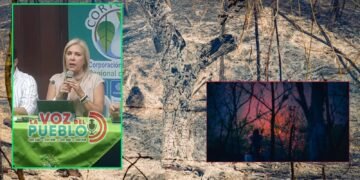 66 incendios forestales ya dejan 1.969 hectáreas afectadas en el Tolima