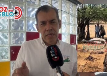 Incendios ponen en riesgo a 18.000 animales en el Tolima: ganaderos piden alimento urgente