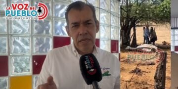 Incendios ponen en riesgo a 18.000 animales en el Tolima: ganaderos piden alimento urgente