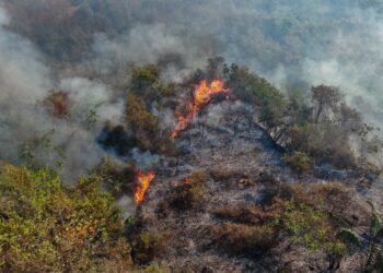 Incendios forestales han afectado más de 22.000 hectáreas en el Tolima