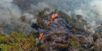 Incendios forestales han afectado más de 22.000 hectáreas en el Tolima