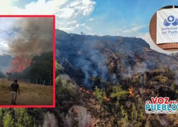 Defensoría alerta falta apoyo nacional en el Tolima, mientras Chagualá en Coello está a punto de ser arrasada por el fuego