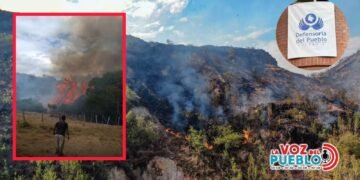 Defensoría alerta falta apoyo nacional en el Tolima, mientras Chagualá en Coello está a punto de ser arrasada por el fuego