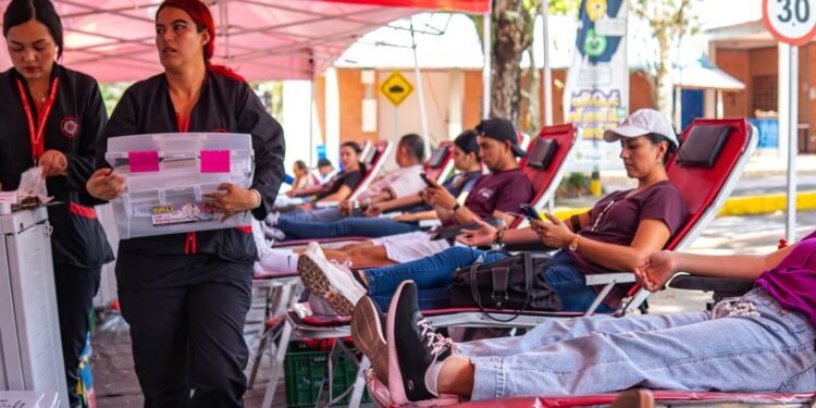 420 personas donaron sangre en la jornada liderada por la Alcaldía de Ibagué