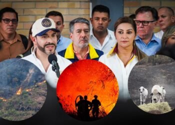 España se suma a Estados Unidos y Chile para frenar incendios en el Tolima