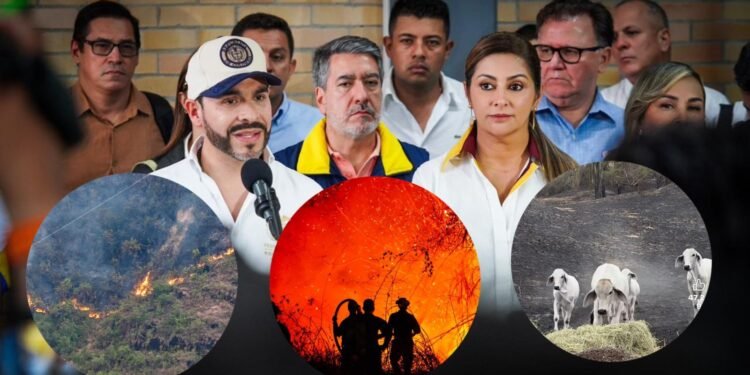 España se suma a Estados Unidos y Chile para frenar incendios en el Tolima