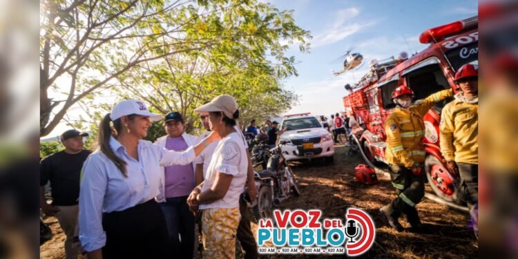 Tolima enfrenta 30 incendios activos y declara calamidad pública