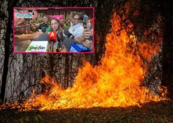 Gobernadora anunció hasta 22 años de prisión por provocar incendios forestales en el Tolima