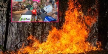 Gobernadora anunció hasta 22 años de prisión por provocar incendios forestales en el Tolima