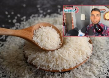 “Consumamos arroz de aquí”: Fedearroz Ibagué alerta por importaciones y pide respaldar al productor colombiano