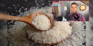 “Consumamos arroz de aquí”: Fedearroz Ibagué alerta por importaciones y pide respaldar al productor colombiano