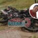 Fabio Rubiano, el motociclista que murió en aparatoso accidente en la avenida Ambalá de Ibagué