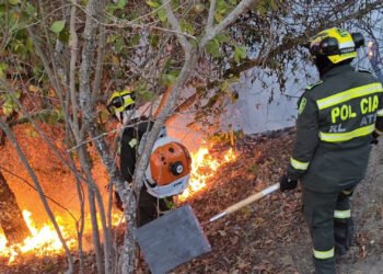 PONALSAR entra en acción para apoyar control de incendio forestal en San Luis