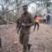 Ejército desplegó 45 soldados para apoyar el control del incendio forestal en San Luis, Tolima