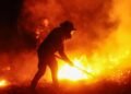Tolima registra 24 incendios en 13 municipios; autoridades investigan posibles hechos provocados