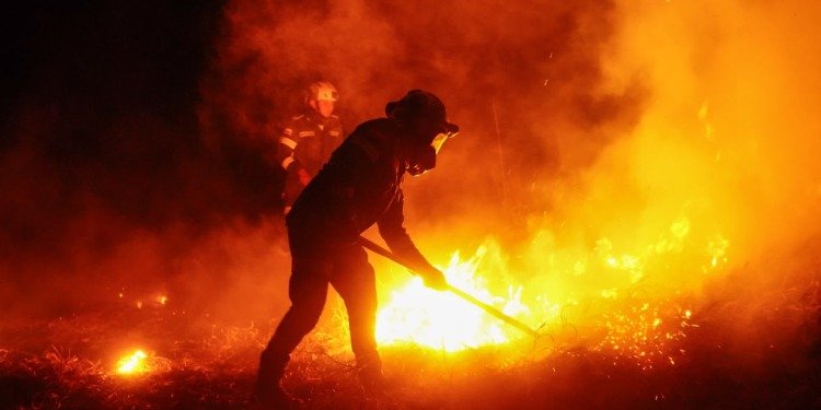 Tolima registra 24 incendios en 13 municipios; autoridades investigan posibles hechos provocados