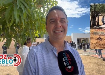 Campesinos afectados por incendios tendrán alivio financiero: Gobierno congelará capital e intereses de sus créditos