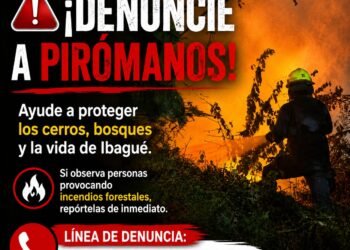 Habilitaron línea para denunciar a ‘pirómanos’ que causen incendios en Ibagué