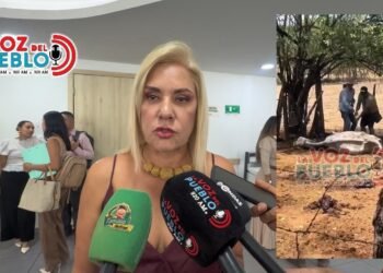 Fauna del Tolima también paga el precio de los incendios: 37 animales afectados