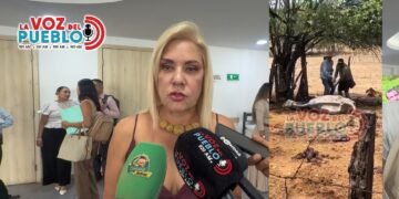Fauna del Tolima también paga el precio de los incendios: 37 animales afectados