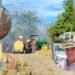 “Perdimos todo”: concejal de San Luis clama por alimento para el ganado y ayudas para damnificados